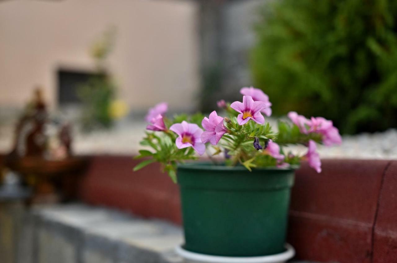 Saint Maria Guest House Velingrad Extérieur photo